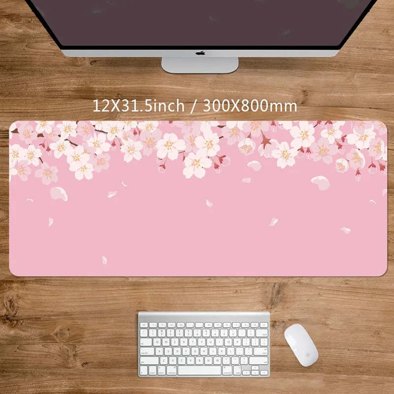 accessoire pour ordinateur portable