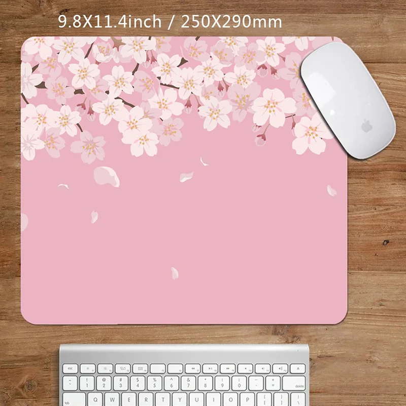 accessoires pour ordinateurs portables